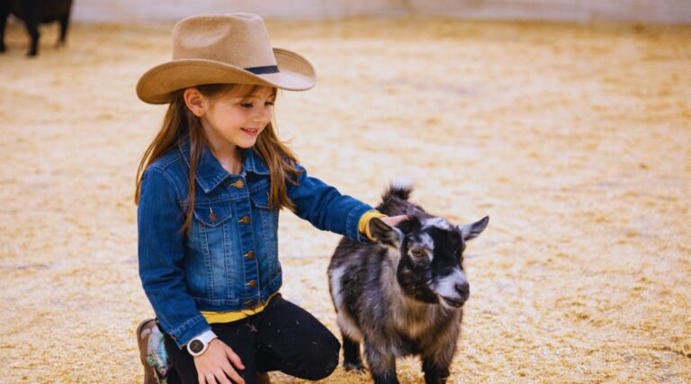 Children viewing livestock at the San Antonio Stock Show and Rodeo
