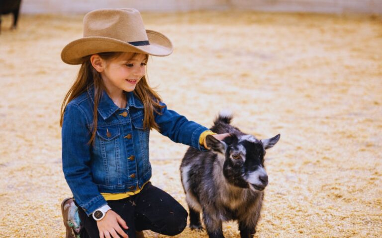 Children viewing livestock at the San Antonio Stock Show and Rodeo