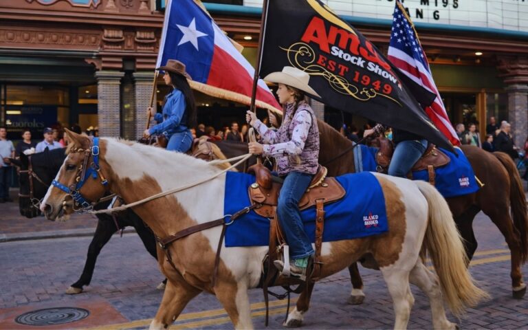 Cowboys leading longhorn cattle during the Western Heritage Cattle Drive in San Antonio