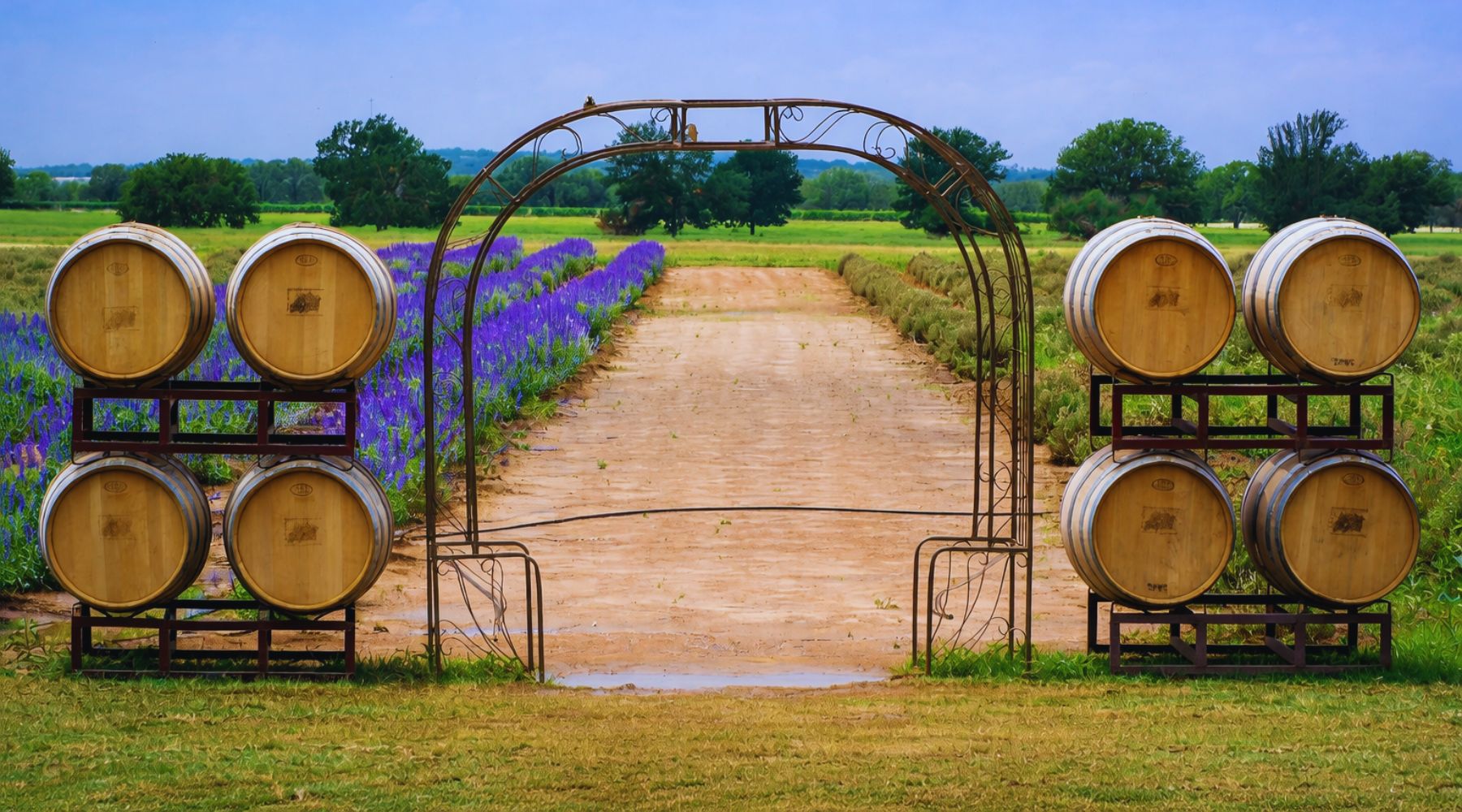 Best wineries near San Antonio Texas Hill Country vineyards