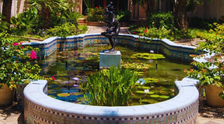 Unique museums and art galleries in San Antonio Texas